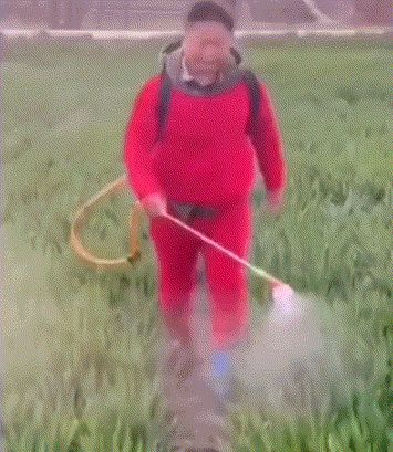 爆笑动图：提着灯笼找灯笼