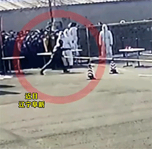 爆笑动图：交警：多少有点不尊重我！