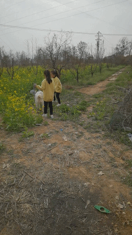 搞笑GIF：杯底装菜，脑洞大开