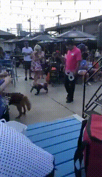搞笑的GIF：泡脚的和做家务的都沉默了！
