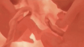 雷人GIF：双胞胎在娘胎里，打架就这么狠！