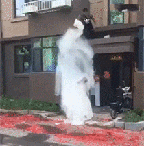 雷人GIF：双胞胎在娘胎里，打架就这么狠！