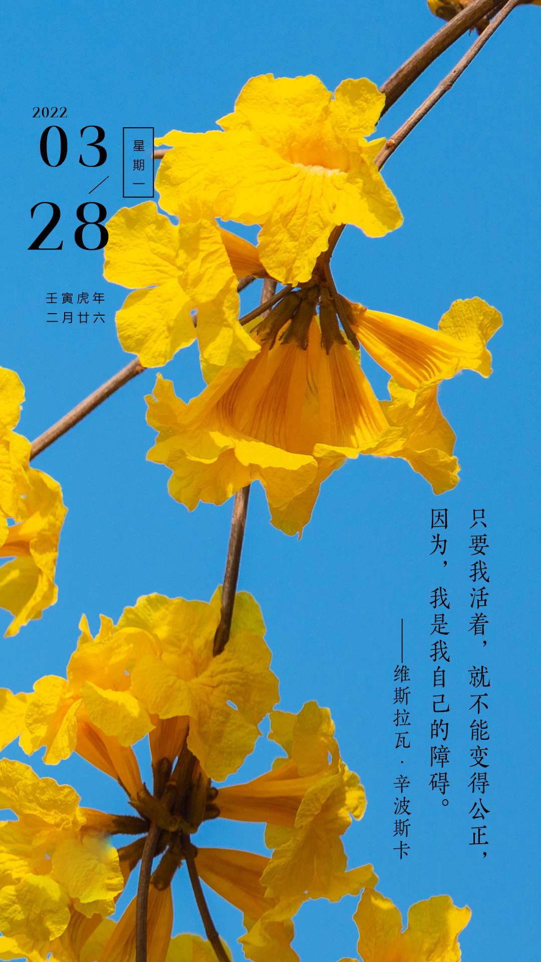 周一朋友圈早安正能量图片语录，梦想藏在心里，行动落于脚下