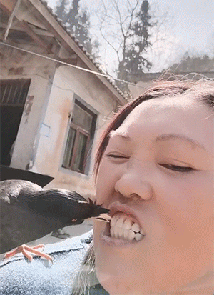 好看的GIF:汤圆当泡泡糖吹泡泡,牛!
