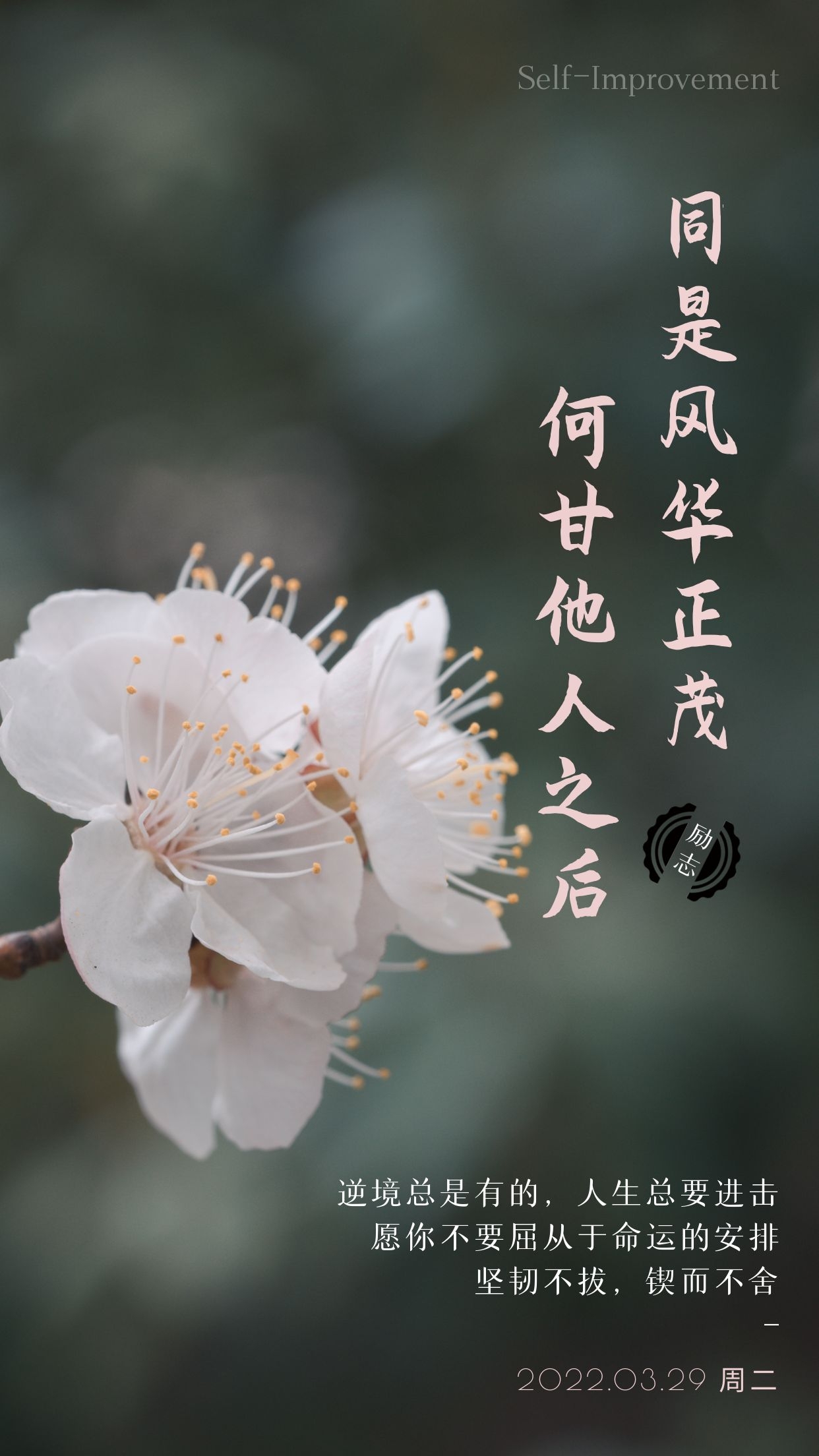 正能量励志早上好图片文案，生命最美的样子，就是奋斗！