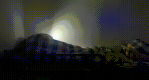 搞笑GIF：结婚当天能有多紧张