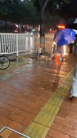 爆笑动态图：重庆的交通，我是不敢去开车的！