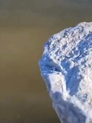 沙雕GIF图：不扔我嘴里，我就饿死自己