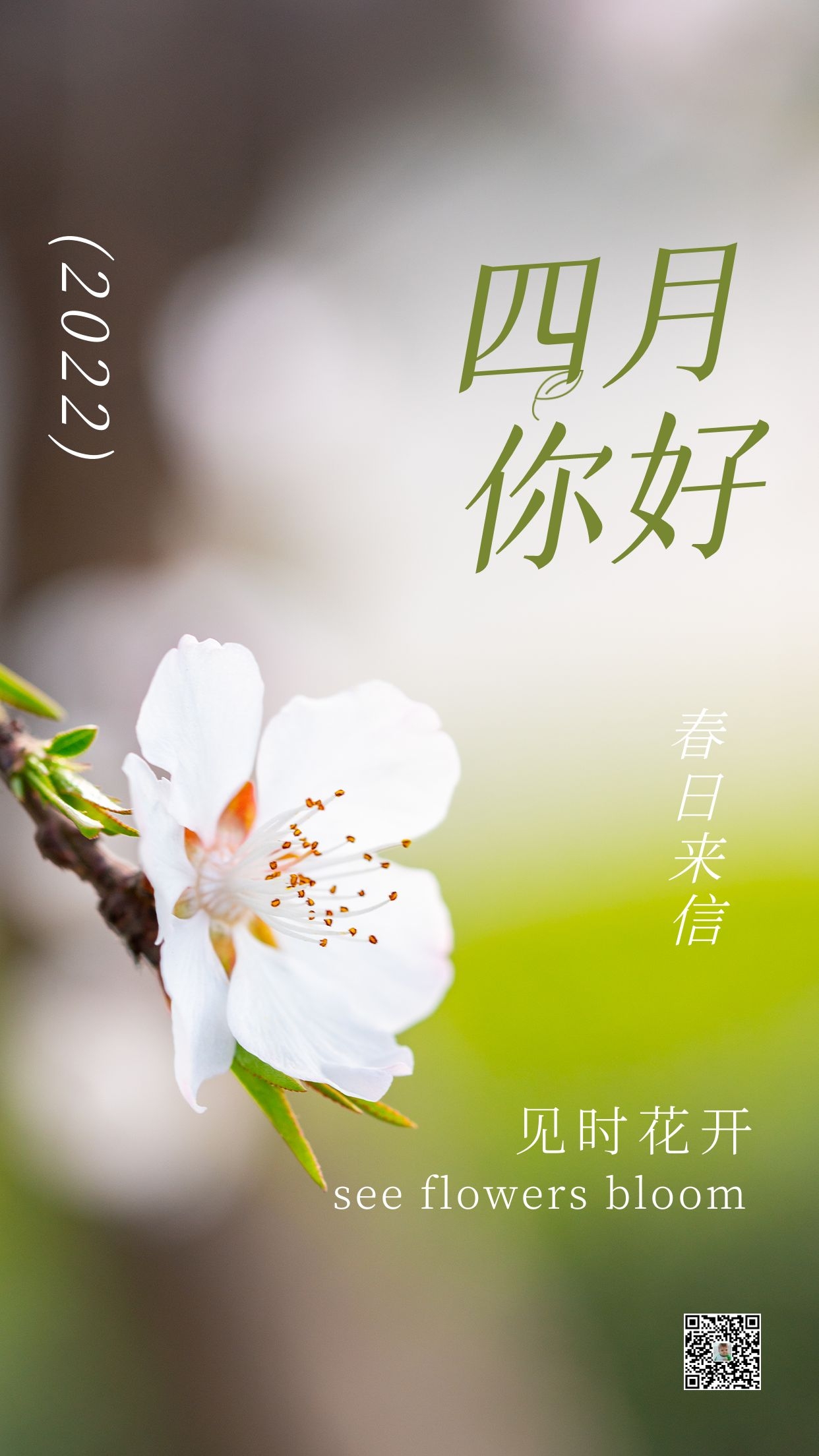 四月你好的图片配图大全，适合4月发朋友圈抖音的文案短句子