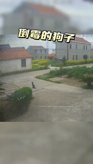爆笑动图：打在娘肚子里就会蹦迪！
