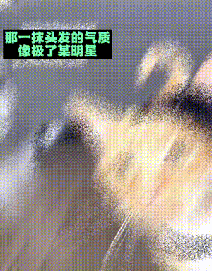 笑疼肚子的GIF：当鸵鸟看上了你，感受这凶猛的爱意吧！