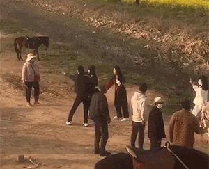  爆笑动图：再不劝架，屁股都被戳烂了