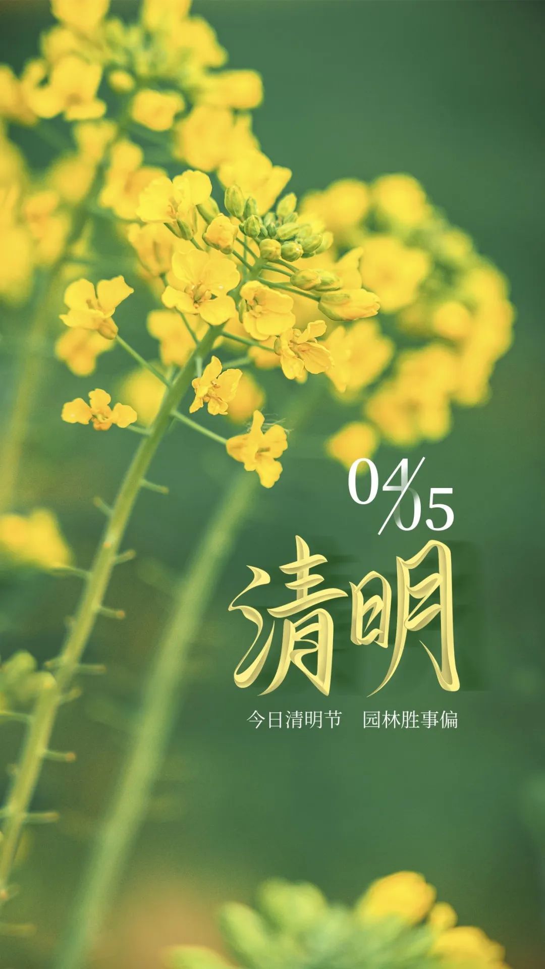 清明节图片配图高清大全，清明节文案短句子