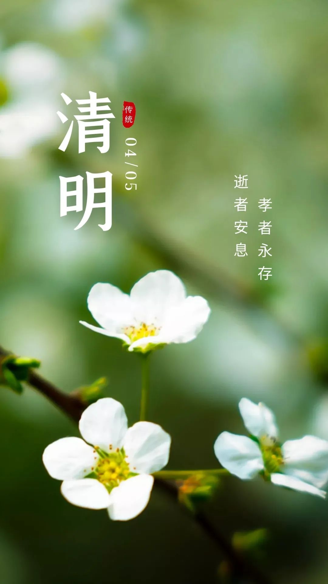 清明节图片配图高清大全，清明节文案短句子