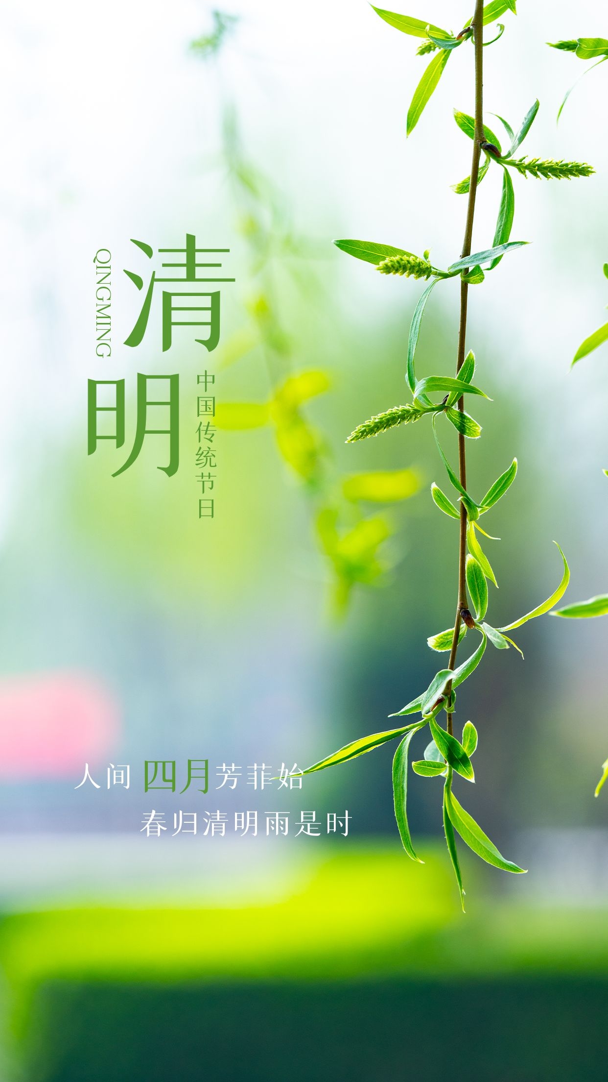 清明节图片配图高清大全，清明节文案短句子
