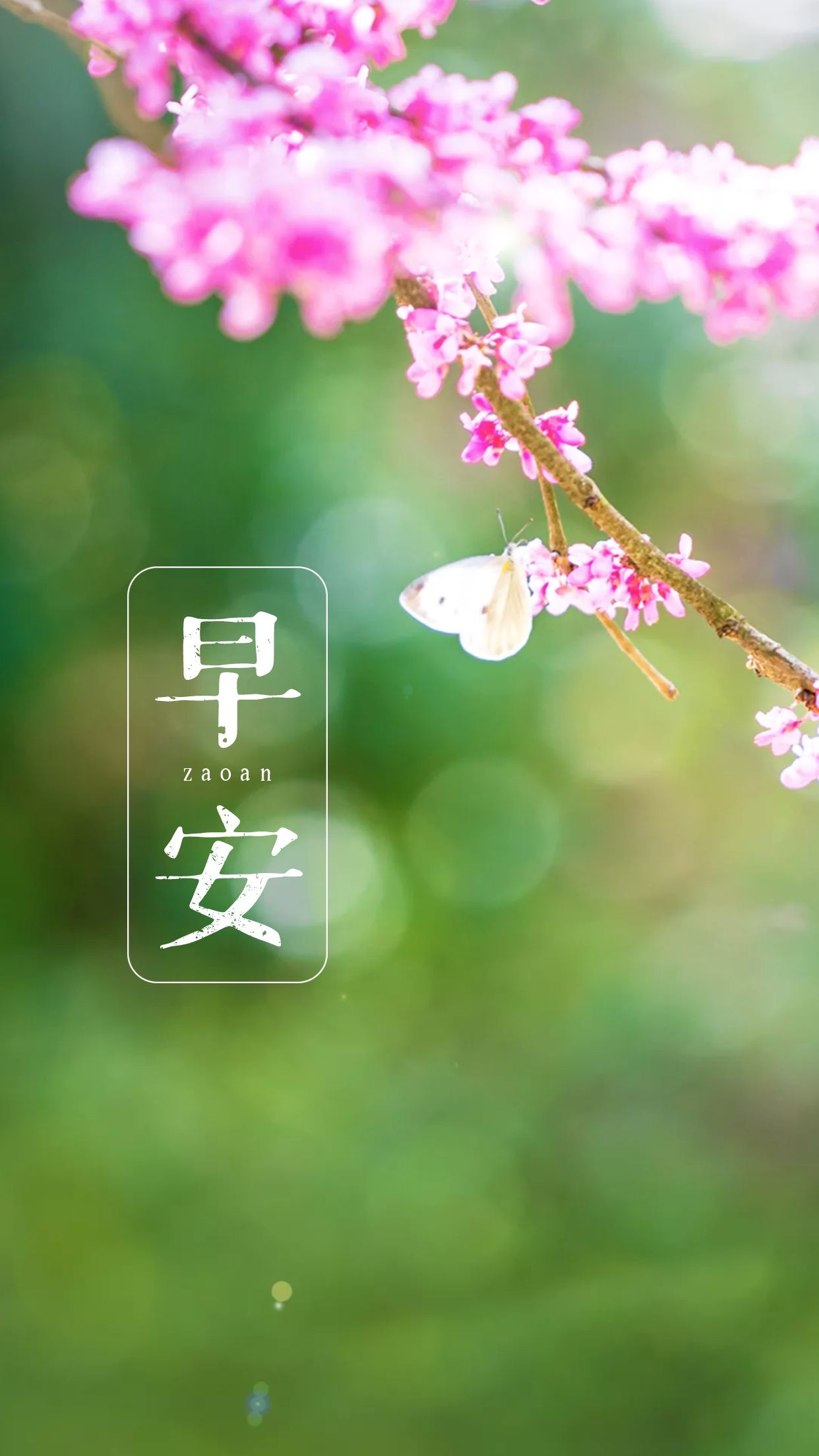 正能量早安图片带文字，激荡人心，奋勇向上