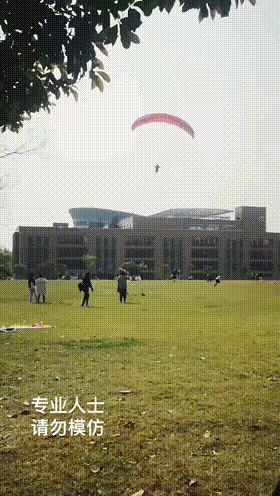 搞笑GIF：用尽我三世之情，来换你一生所爱
