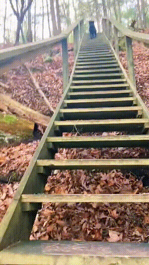 爆笑的动态图：大爷这么卖命，大娘正眼都不看一下