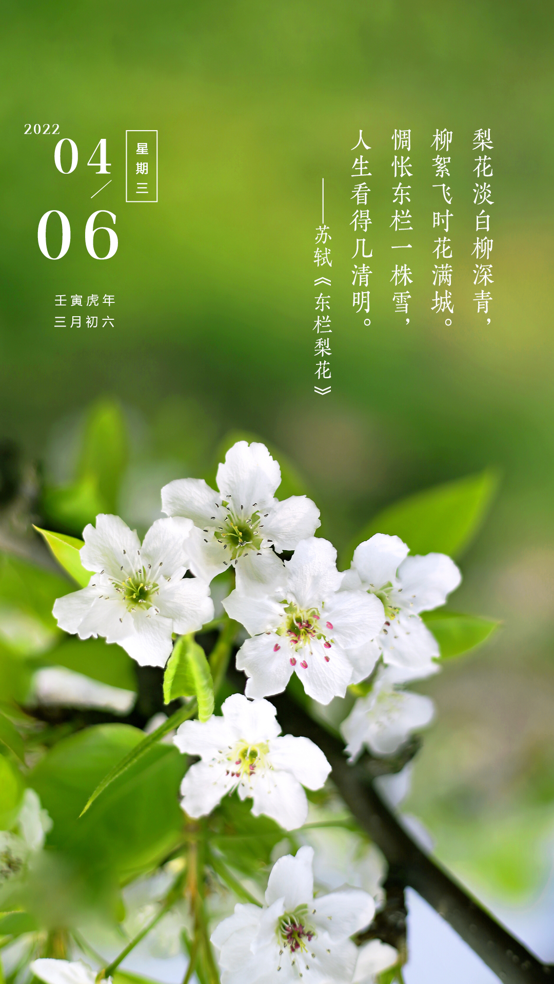 早安励志图片句子，拼命冲到底，再努力一把！