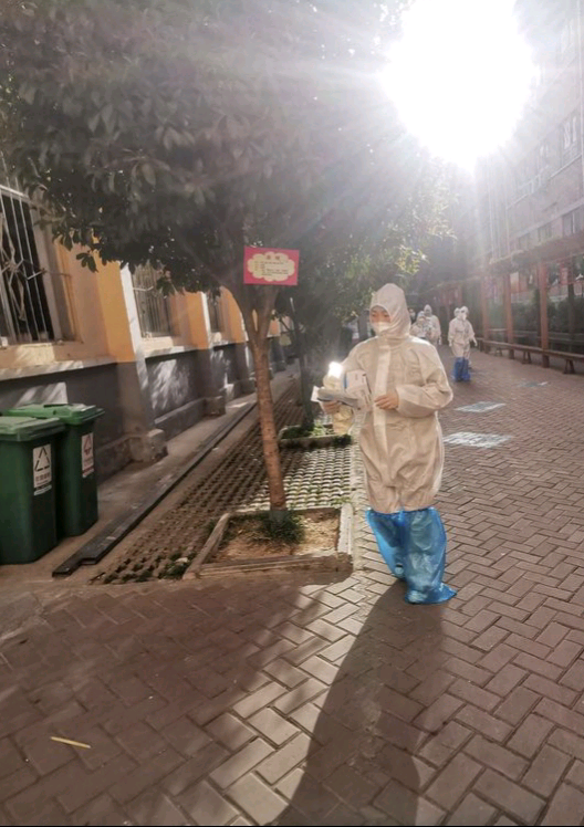 核酸检测进校园，凝心聚力筑防线——洛宁县第二实验小学核酸检测纪实