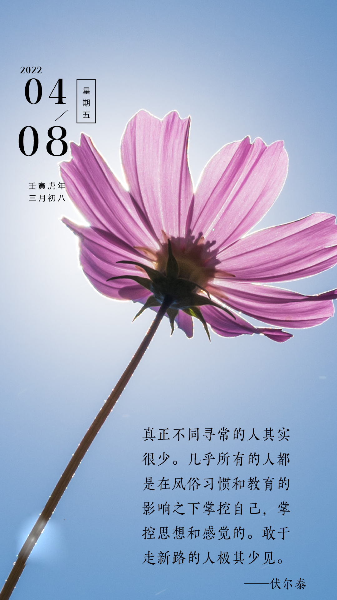 早安图片奋斗语录，心有所向，定能乘风破浪