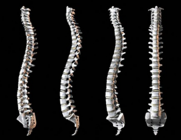 什么是马尾神经损伤？病因？症状？应该怎样治疗？