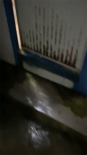 GIF动态图：男子当街攻击多人，被小区保安徒手制服