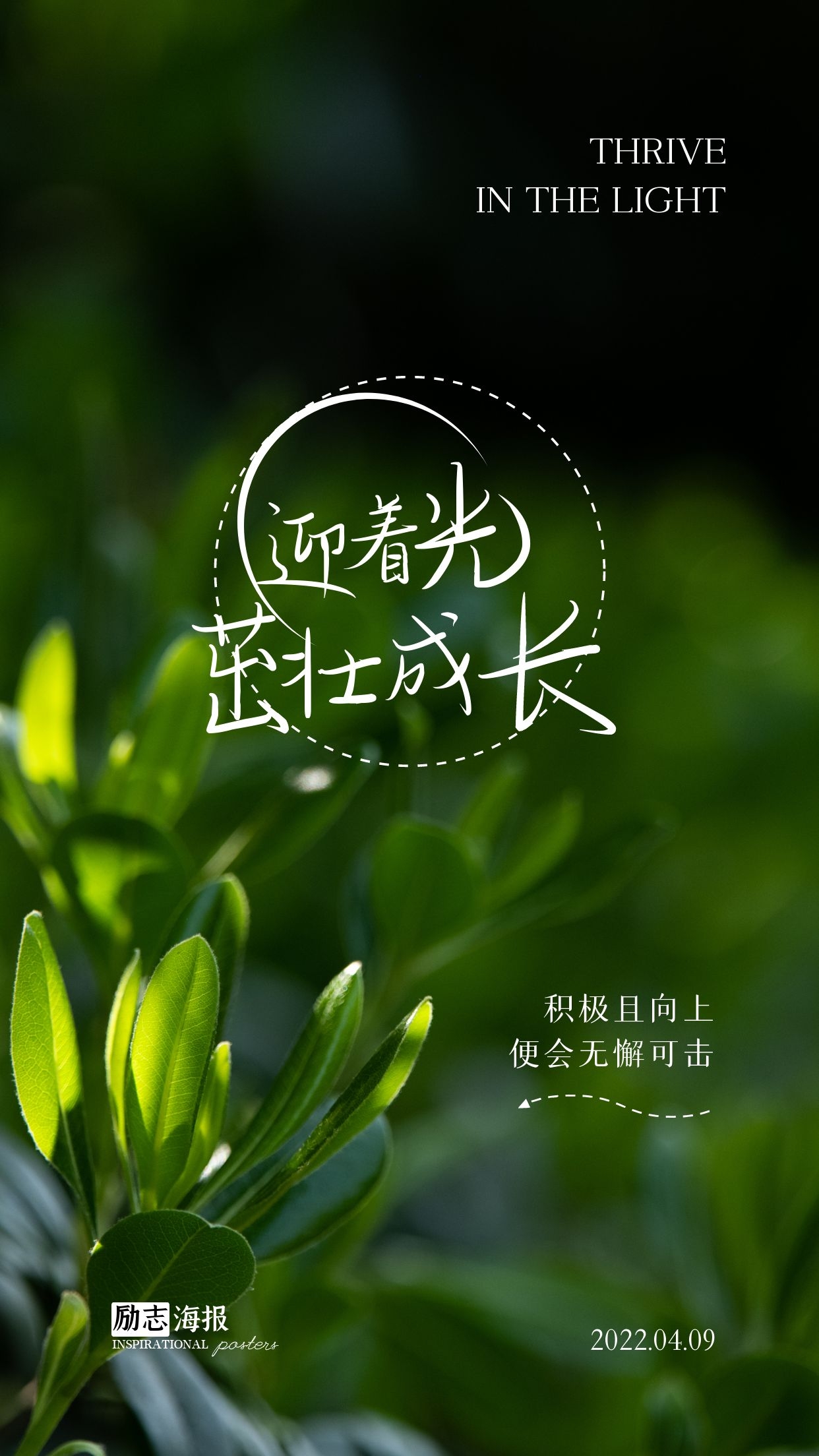 周末早上好正能量图片句子，世界上最快乐的事，莫过于为梦想奋斗