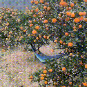 gif图：这是在炸手榴弹吗？