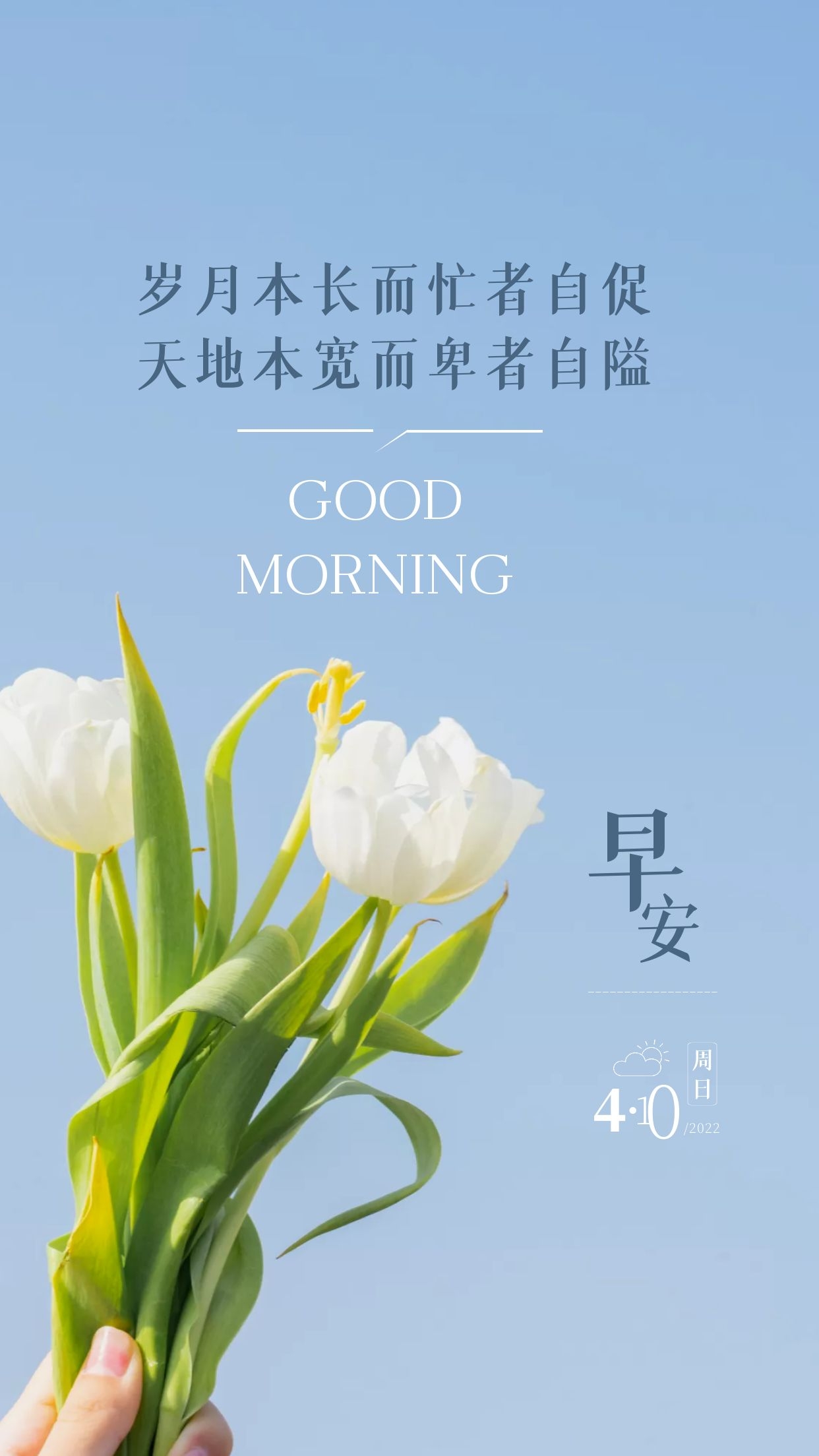 早安心语图片正能量语录，心向暖阳，逆风飞翔