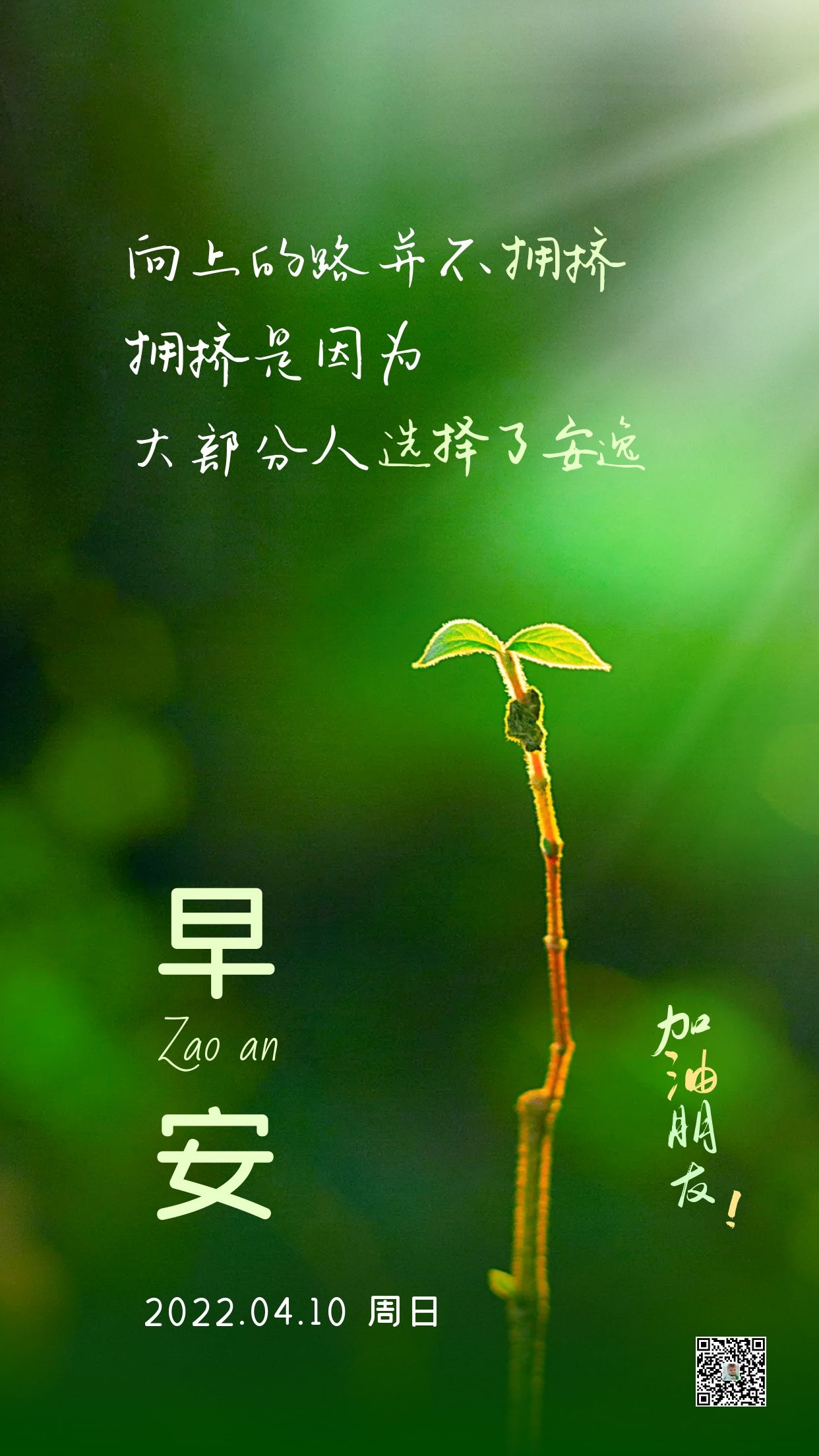 早安心语图片正能量语录，心向暖阳，逆风飞翔