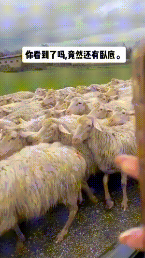 好笑的动图：听说你们都喜欢洗澡的时候唱歌！