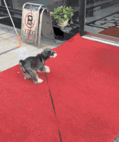 搞笑动图图片：上学太辛苦了，看把孩子累成什么样子了！