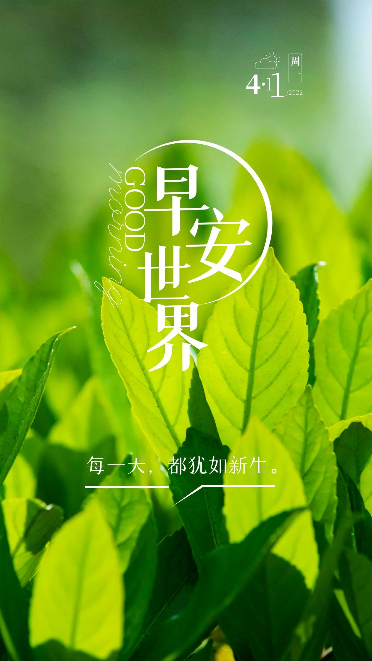 新的一周早安正能量图片语句，奋斗不止，阳光满路