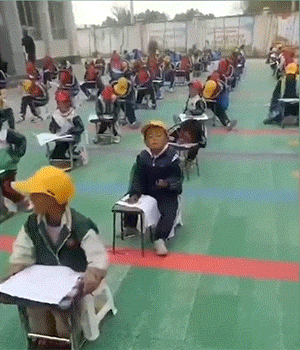 GIF图：人类幼崽，几家欢喜几家愁！