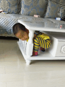 GIF图：人类幼崽，几家欢喜几家愁！