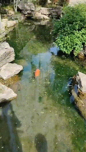 搞笑GIF：再封三年估计捅到南天门