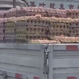GIF图：国外视频网站上的沙雕又来报道了！