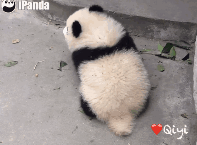 爆笑动图：大庭广众之下卿卿我我