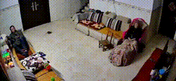 爆笑动图：大庭广众之下卿卿我我