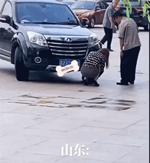 爆笑动图：大庭广众之下卿卿我我