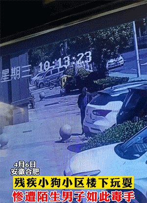 爆笑动图：大庭广众之下卿卿我我
