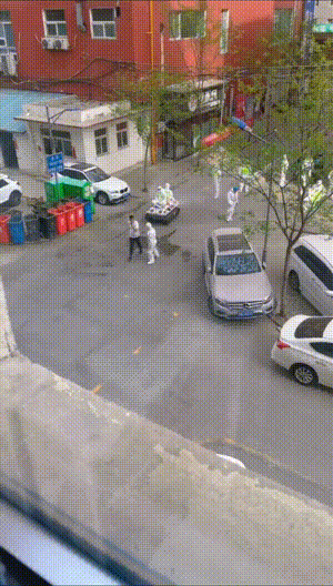 搞笑动图图片：见过走位最好的狗子