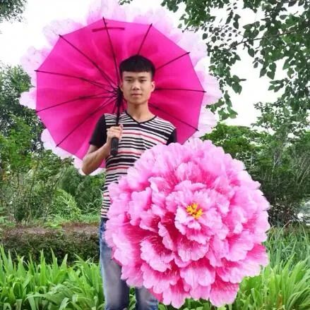 搞笑动图图片：见过走位最好的狗子