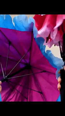 搞笑动图图片：见过走位最好的狗子