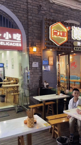 搞笑动图图片：见过走位最好的狗子
