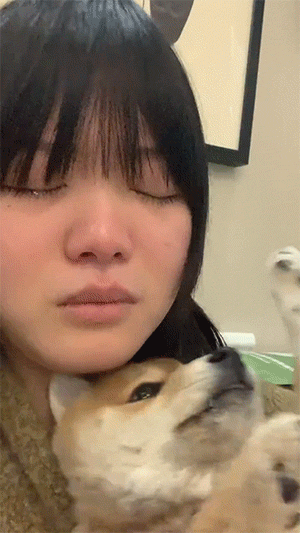 搞笑动图图片：见过走位最好的狗子