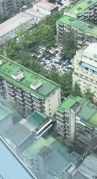 最新动图:是不是该给他们订娃娃亲了?