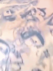 最新动图:是不是该给他们订娃娃亲了?