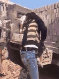 爆好笑的GIF：藏起来，别人就看不到我的尴尬